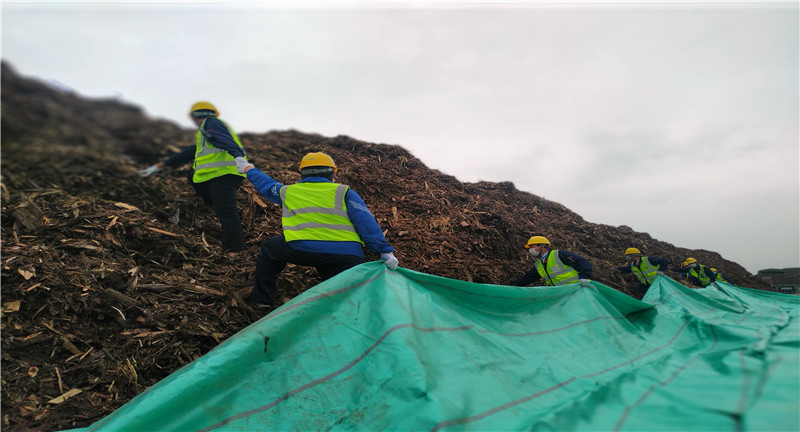 1593395954614239.jpg 11號風雨無阻 7567票第一.jpg