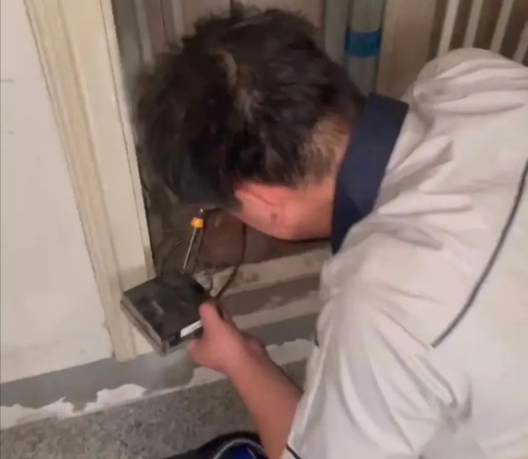 1722223352797111.jpg webwxgetmsgimg.jpg