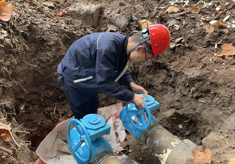 1733712924941687.jpg 3.jpg