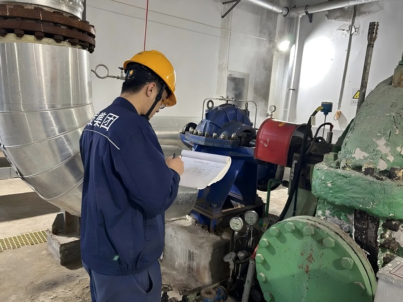 1733713205178390.jpg 2.jpg